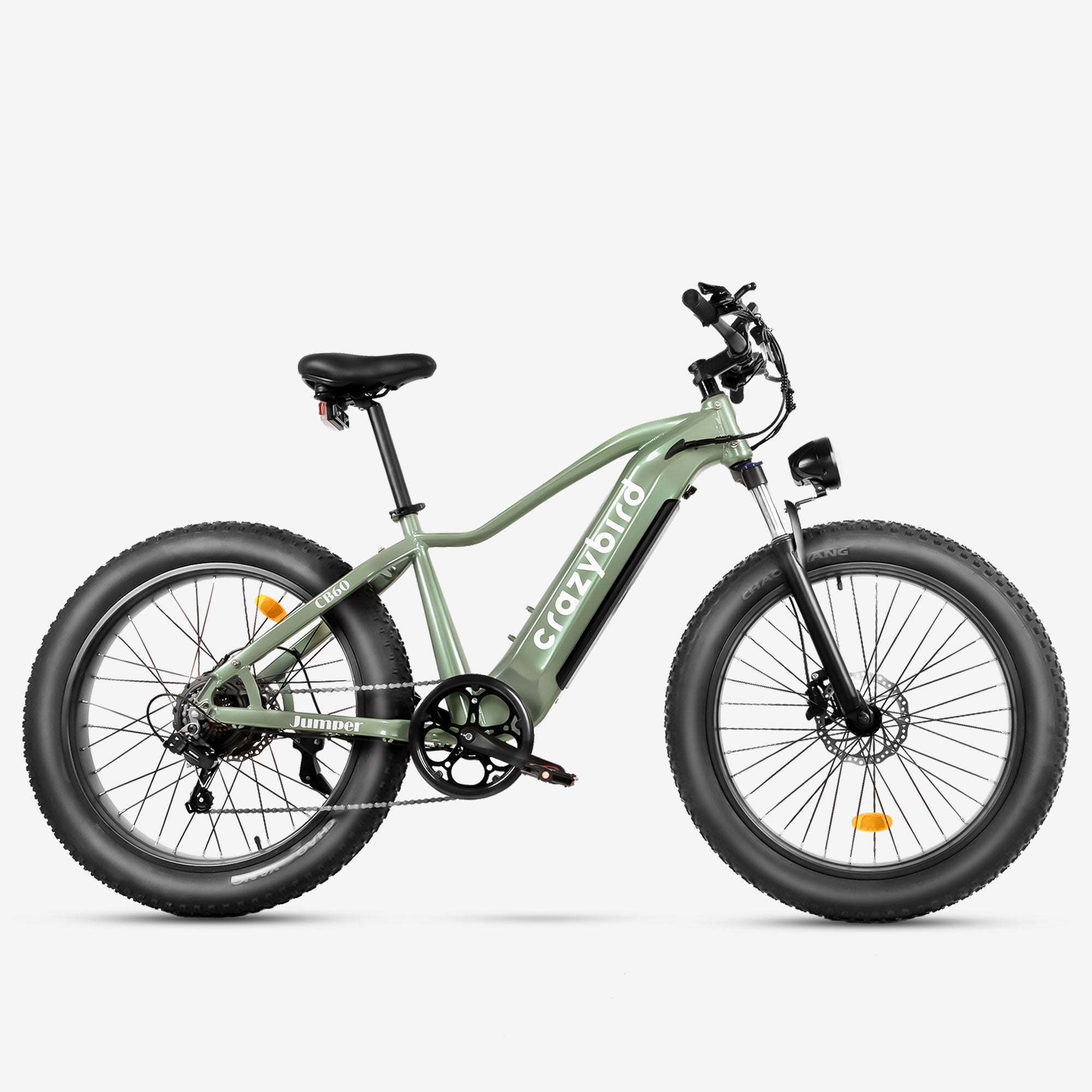 Crazybird-CB60 Bicicleta Eléctrica para Adultos con Motor de 750W