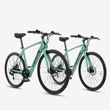Crazybird Sal combinada CB20*2