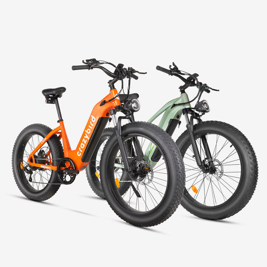 Crazybird Sal combinada CB60*2