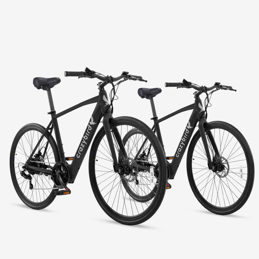 Crazybird Sal combinada CB20*2