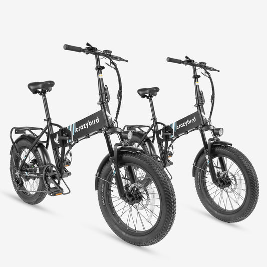 Crazybird Sal combinada CB10*2