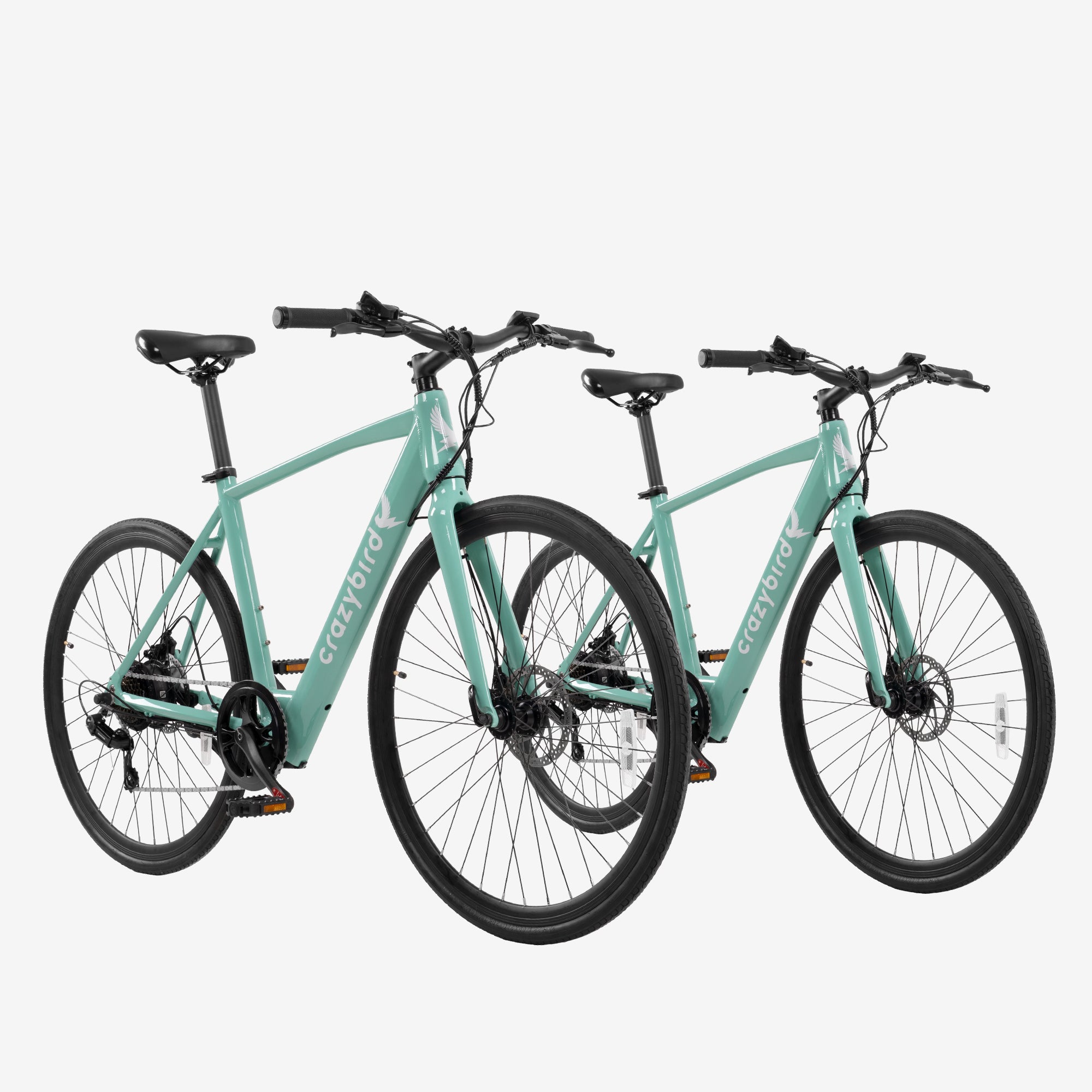 Crazybird Sal combinada CB20*2