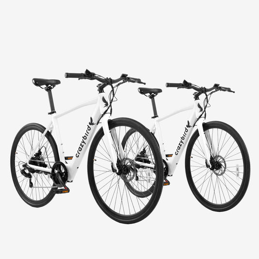Crazybird Sal combinada CB20*2