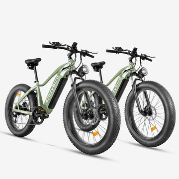 Crazybird Sal combinada CB60*2