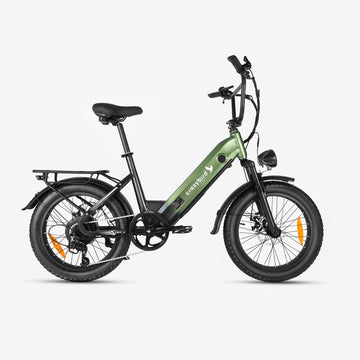 Crazybird CB12 bici electrica