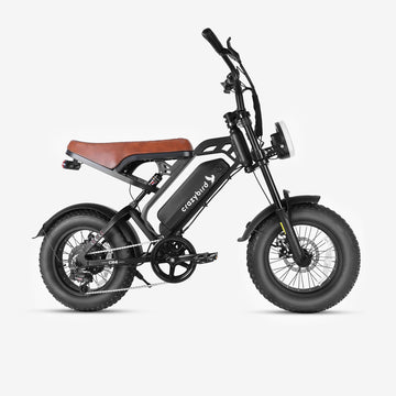 Crazybird CB4 fat bike electrica