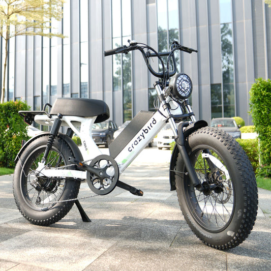 Crazybird CB50 Bicicleta eléctrica