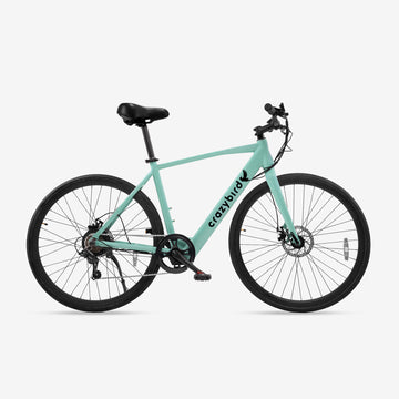 Crazybird CB20 bici electrica