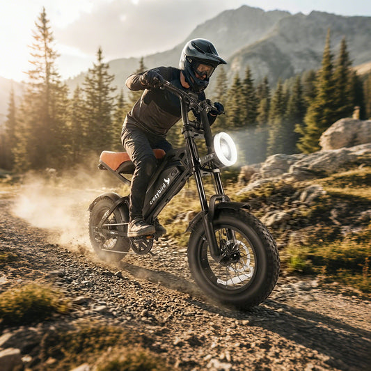 Crazybird CB4 fat bike electrica