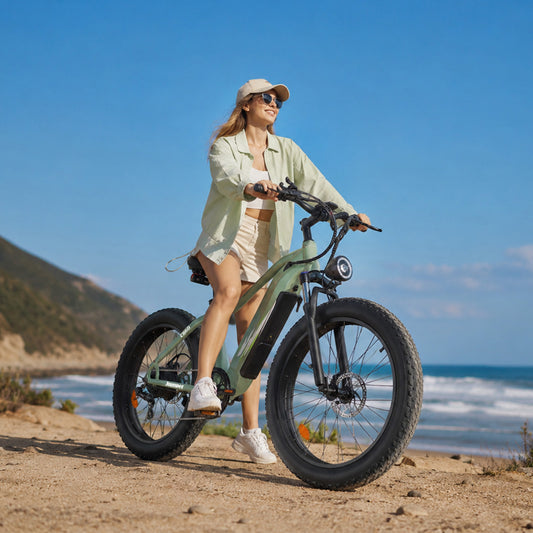 Crazybird - CB60 bici electrica montaña